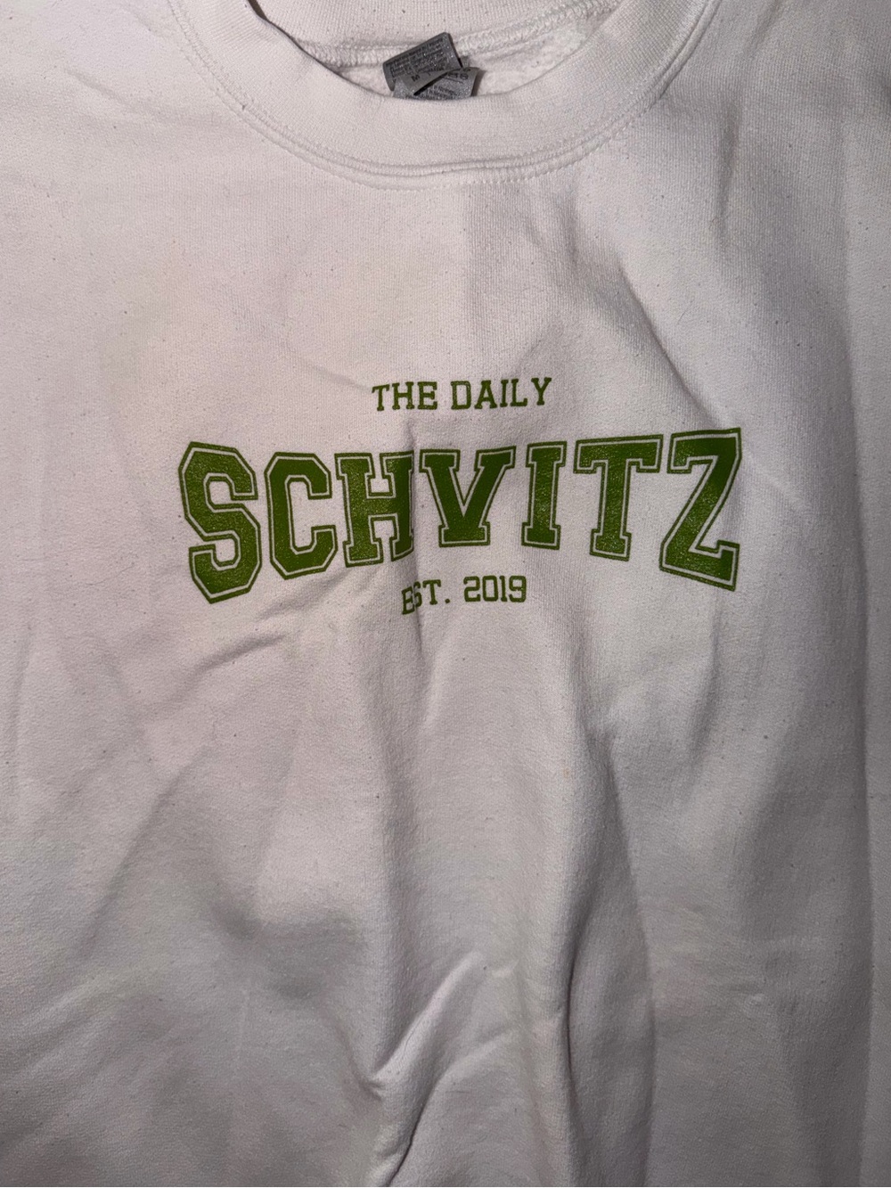 The Daily Schvitz sweatshirt